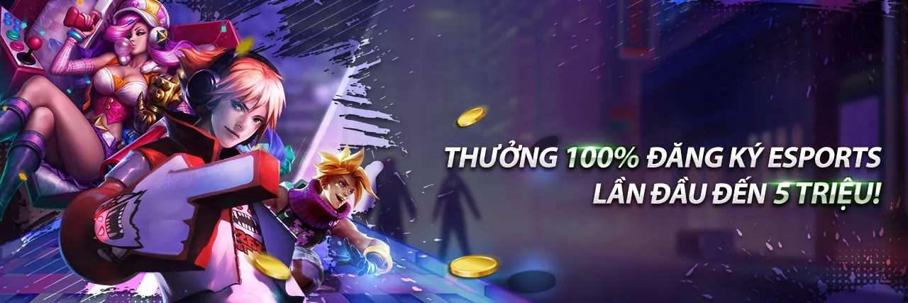 Các loại cookie khác nhau được sử dụng trên JDB66